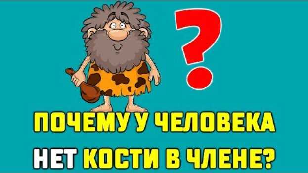 Video Почему у человека нет кости в члене? Видео познавательное! po polsku