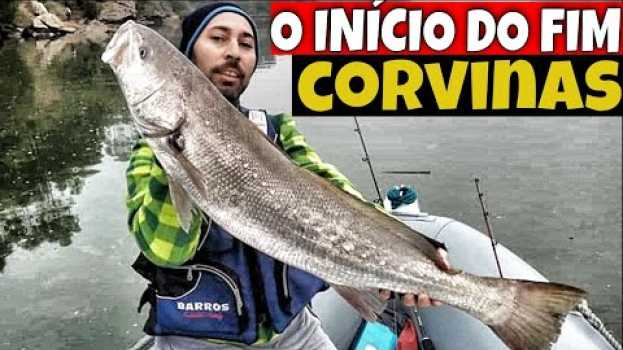 Video UMA PESCA COM OS DIAS CONTADOS "O ÍNICIO DO FIM" ???   türkçe