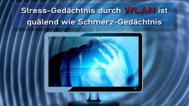 Video Stress-Gedächtnis durch WLAN ist quälend wie Schmerz-Gedächtnis  | 30.08.2021 | www.kla.tv/19702 su italiano