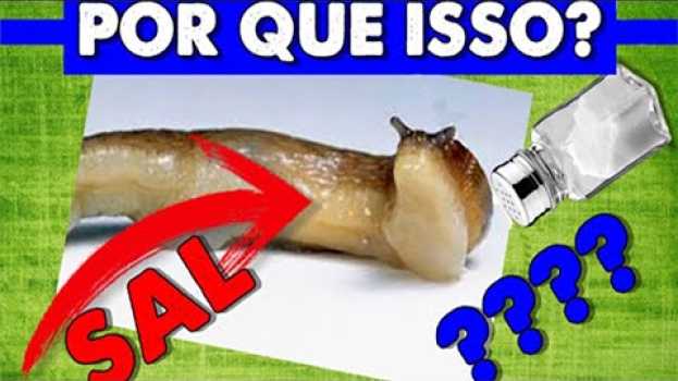 Video PORQUE a lesma MORRE e derrete COM SAL? PORQUE ISSO? su italiano
