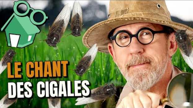 Video 🎤 LE CHANT DES CIGALES su italiano