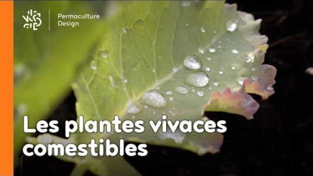 Video Introduction aux plantes vivaces comestibles   türkçe