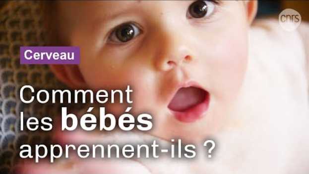 Video Dans la tête des bébés | Reportage CNRS   türkçe
