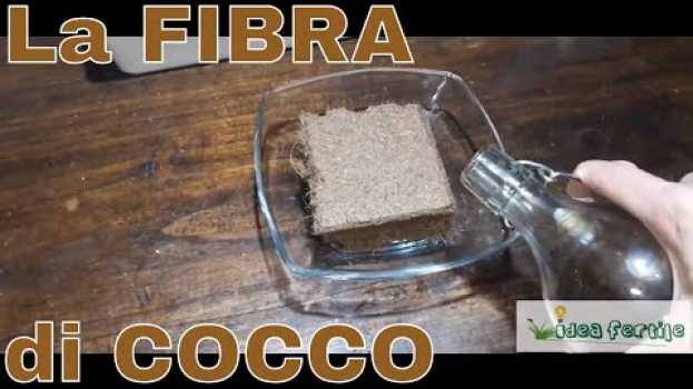 Video La fibra di cocco, ideale per il semenzaio auf Deutsch