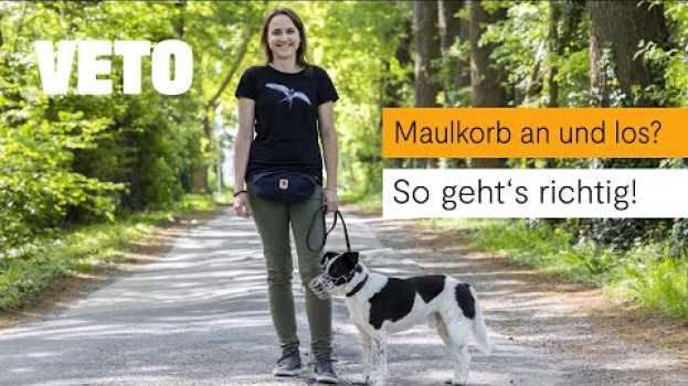 Video Maulkorbtraining - So gewöhnt du deinen Hund an einen Maulkorb in English