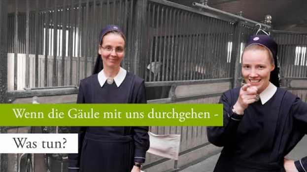 Video Wenn die Gäule mit uns durchgehen - was tun? in English