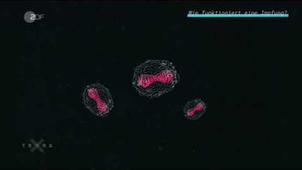 Video Die Geschichte des Impfens | ZDF | Mit Untertitel | CC BY 4.0 en français