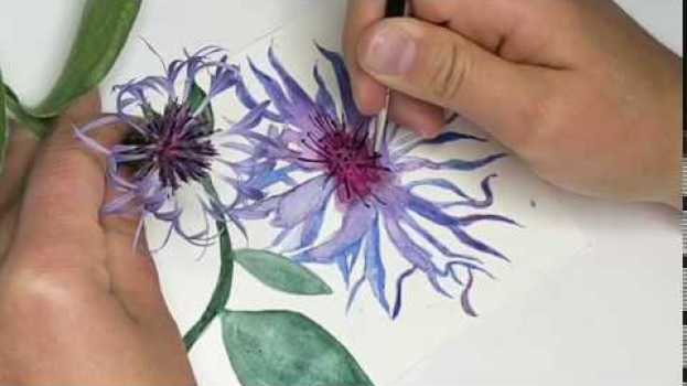 Video Making Watercolour Botanical Postcards en español