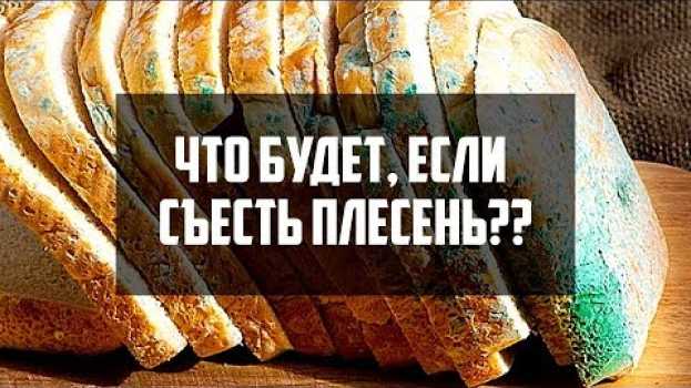 Video Что будет, если съесть плесень [Plushkin] auf Deutsch