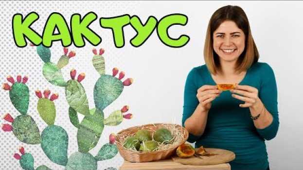 Video Плод кактуса или опунция. Как это есть? #Opuntia auf Deutsch