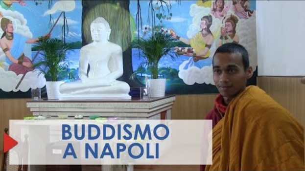 Video Come si diventa buddisti: viaggio nel cuore del buddismo a Napoli. po polsku
