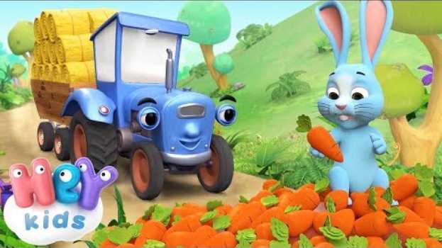 Video O Grande Trator Azul 🚜 Aprenda os animais  🐱 HeyKids - Música Infantil po polsku