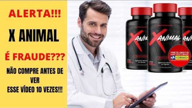 Video [X-Animal Caps DEPOIMENTO] X Animal FUNCIONA? X ANIMAL Reclame Aqui! X Animal AUMENTA MESMO?? auf Deutsch