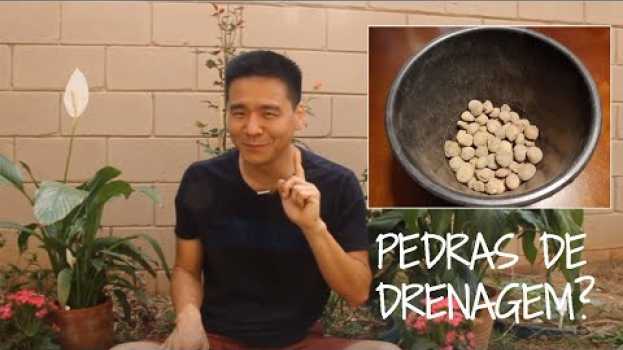 Video Seu vaso não precisa disso - As pedras de drenagem en español