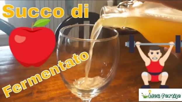 Video Una bibita frizzante fatta in casa: semplice, sana, dissetante, economica, veloce! en español