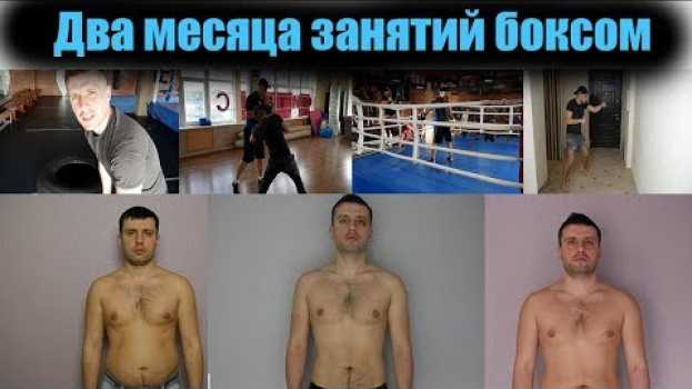 Video Два месяца занятий боксом ИТОГ 🥊 В БОКС ПОСЛЕ 30 лет en español