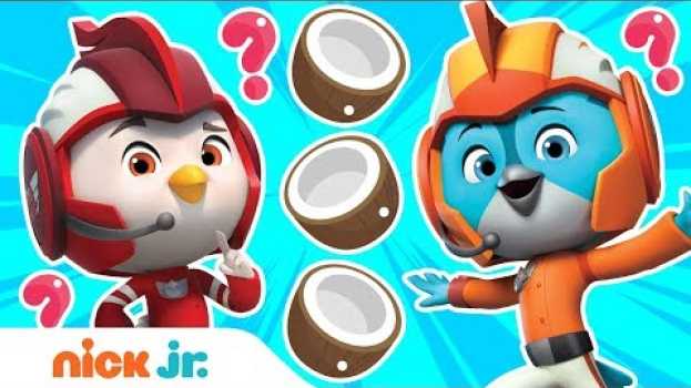 Video Shuffle Game Time! 🥥 w/ Top Wing | Nick Jr. Games | Nick Jr. em português