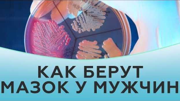 Video Как берут мазок у мужчин   türkçe