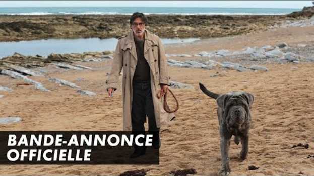 Video MON CHIEN STUPIDE – Bande-annonce officielle – Yvan Attal / Charlotte Gainsbourg (2019) em português