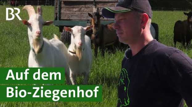 Video Auf dem Ziegenhof: Biologische Ziegenhaltung als Nebenerwerbsbetrieb | Ziege | Unser Land | BR in English
