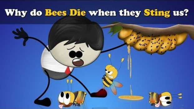 Video Why do Bees Die when they Sting us? + more videos | #aumsum #kids #science #education #children po polsku
