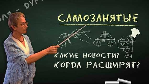 Video Самозанятые. Когда расширят на всю страну? en français
