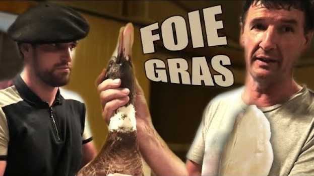 Video Stop aux mensonges sur le foie gras po polsku