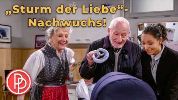 Video Baby bei „Sturm der Liebe“! Von wem ist das Kind? | PROMIPOOL en español