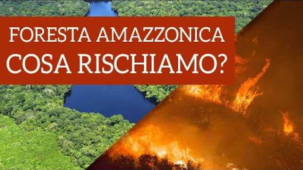 Video Foresta Amazzonica in fiamme, cosa succede? Cosa rischiamo? auf Deutsch