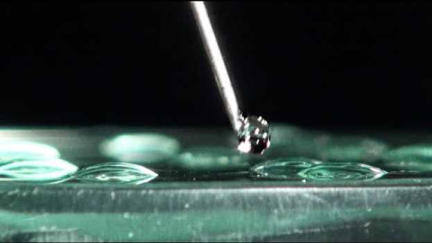 Video Hydrophile et hydrophobe — expérience scientifique #6.05 de Grains de bâtisseurs   türkçe