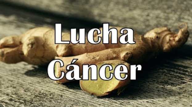Video Esta raíz natural puede ser tan efectiva para luchar contra el cáncer como lo es la quimioterapia   türkçe