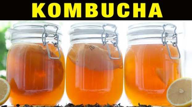 Video Beneficios de la Kombucha – ¿Adelgaza?, ¿Qué es?, ¿Hace Daño? [CONSEJOS Y CUIDADOS] auf Deutsch