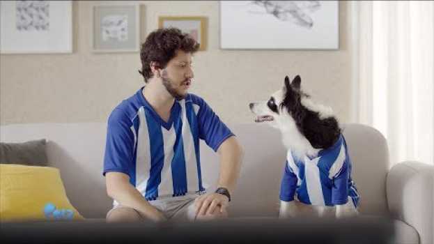 Video Petz - Amor pelo seu pet não se explica. Mas se entende. in English