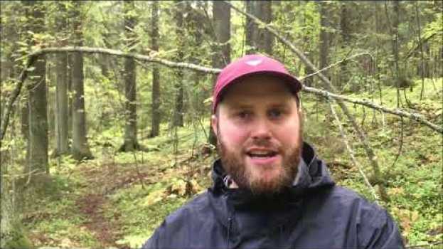 Video  auf Deutsch