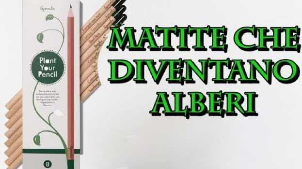 Video MATITE CHE DIVENTANO SEMI! ? Consigli per gli acquisti? IDEALE PER NATALE!   türkçe