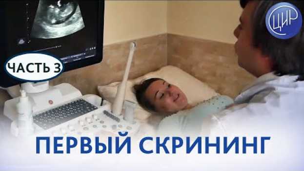 Video Первый скрининг при беременности. Как проходит первый скрининг (скрининг первого триместра) в ЦИР.   türkçe