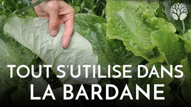 Video Tout s'utilise dans la Bardane ! in English