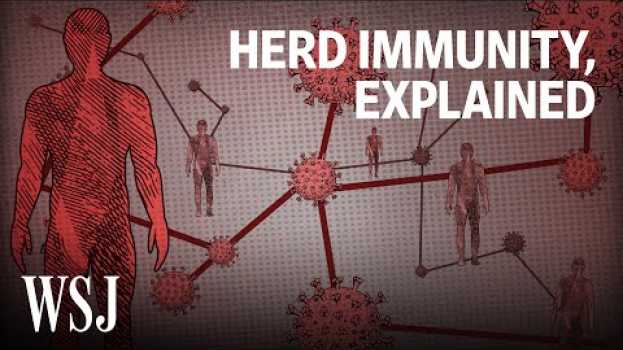 Video What It Would Take to Reach Herd Immunity | WSJ po polsku
