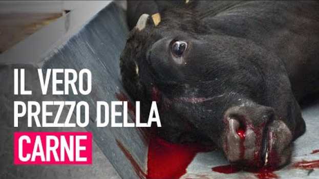 Видео Cosa si nasconde dietro le mura dei macelli? на русском