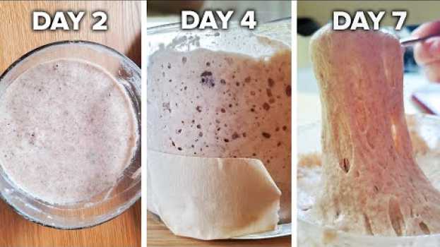 Video How To Make A Sourdough Starter From Scratch •  Tasty   türkçe