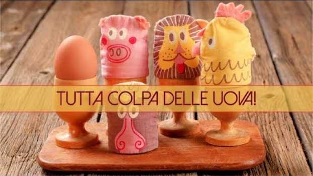 Video Tutta colpa delle uova! en français