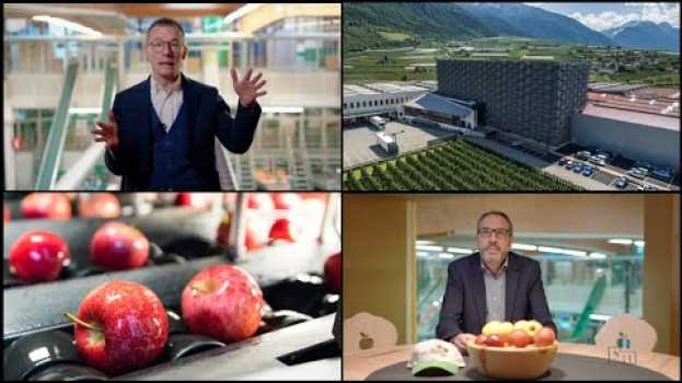 Video Mela Val Venosta, nuovo stabilimento per il Bio alla Juval di Castelbello en français