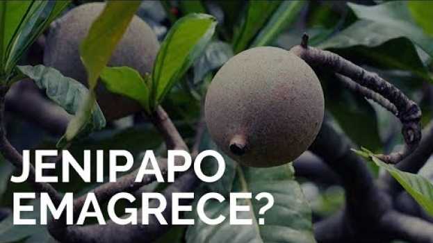 Video Jenipapo Emagrece ou Engorda? [Calorias do Jenipapo] Emagrece Mesmo? in English