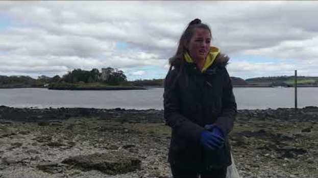 Video It's amazing how much litter there is here - Cork Greens clean the strand at Little Island auf Deutsch