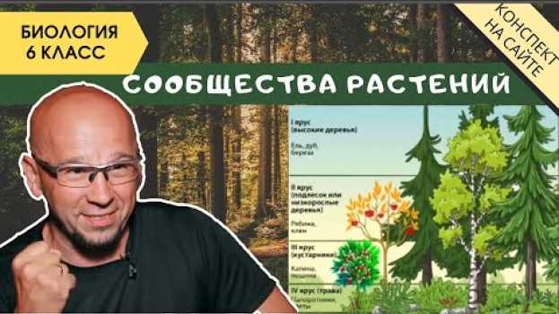 Video Растительные сообщества природы. Биология 6 класс. Фитоценоз. Симбиоз растений и их взаимодействие po polsku