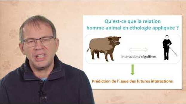 Video Relation humain-animal en élevage, regards croisés d'un éthologiste et d'une vétérinaire praticienne en español