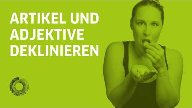 Video Artikel- und Adjektivdeklination, deklinieren auf Deutsch – Learn German with Ida | 24h Deutsch 2020 em português