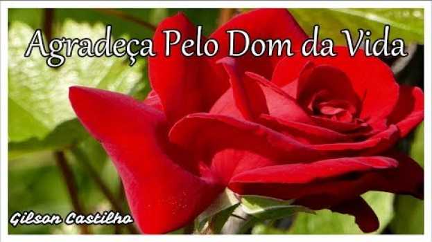 Видео Agradeça Pelo Dom da Vida  / Mensagem de Bom Dia на русском