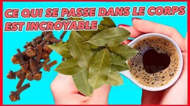 Video Cette plante EST EXCEPTIONNELLE  Nettoyez les reins et nettoyez entièrement le corps ! po polsku