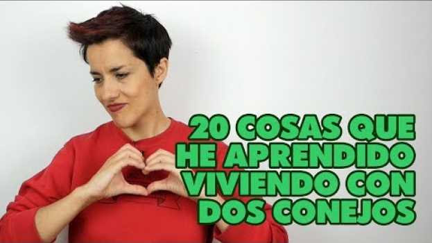 Video 20 Cosas Que He Aprendido Viviendo Con Dos Conejos   türkçe